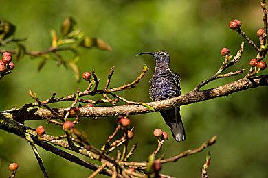 风暴过后，战斗开始！获奖游戏《末日地带2》将于7月24日发布！